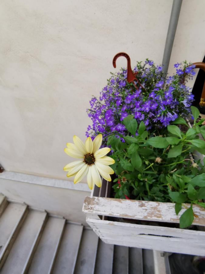 Casuzzamia Apartment Palermo Bagian luar foto